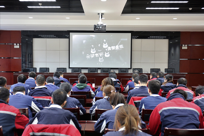 1577355530801877.jpeg CE0A1831_副本.jpg