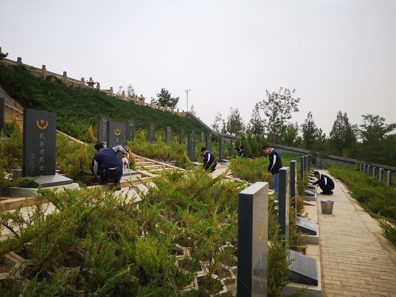 1623114897765177.jpeg 清理雜草.jpg